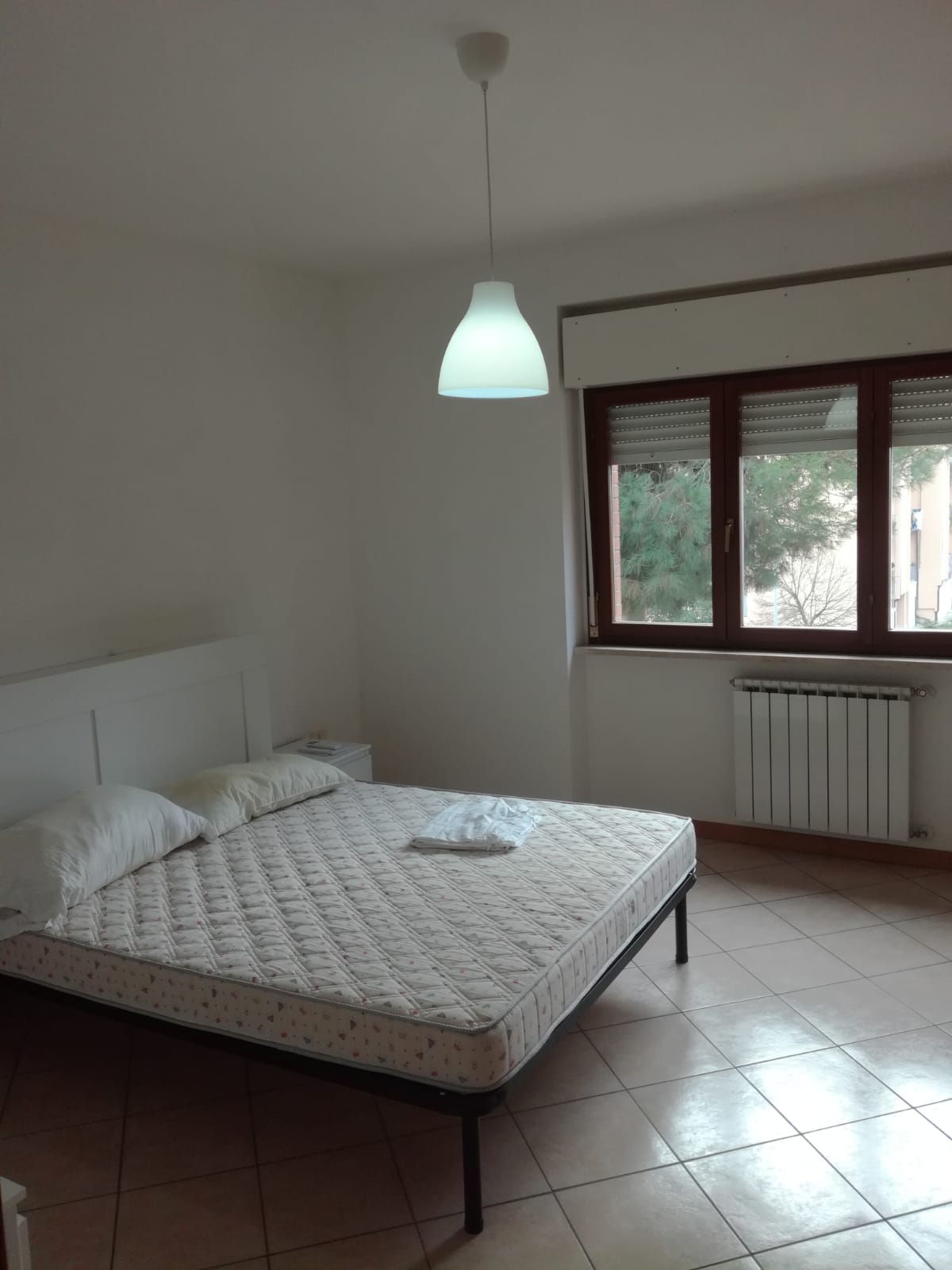 Immagine WhatsApp 2023-12-14 ore 11.56.09_4df90ac7