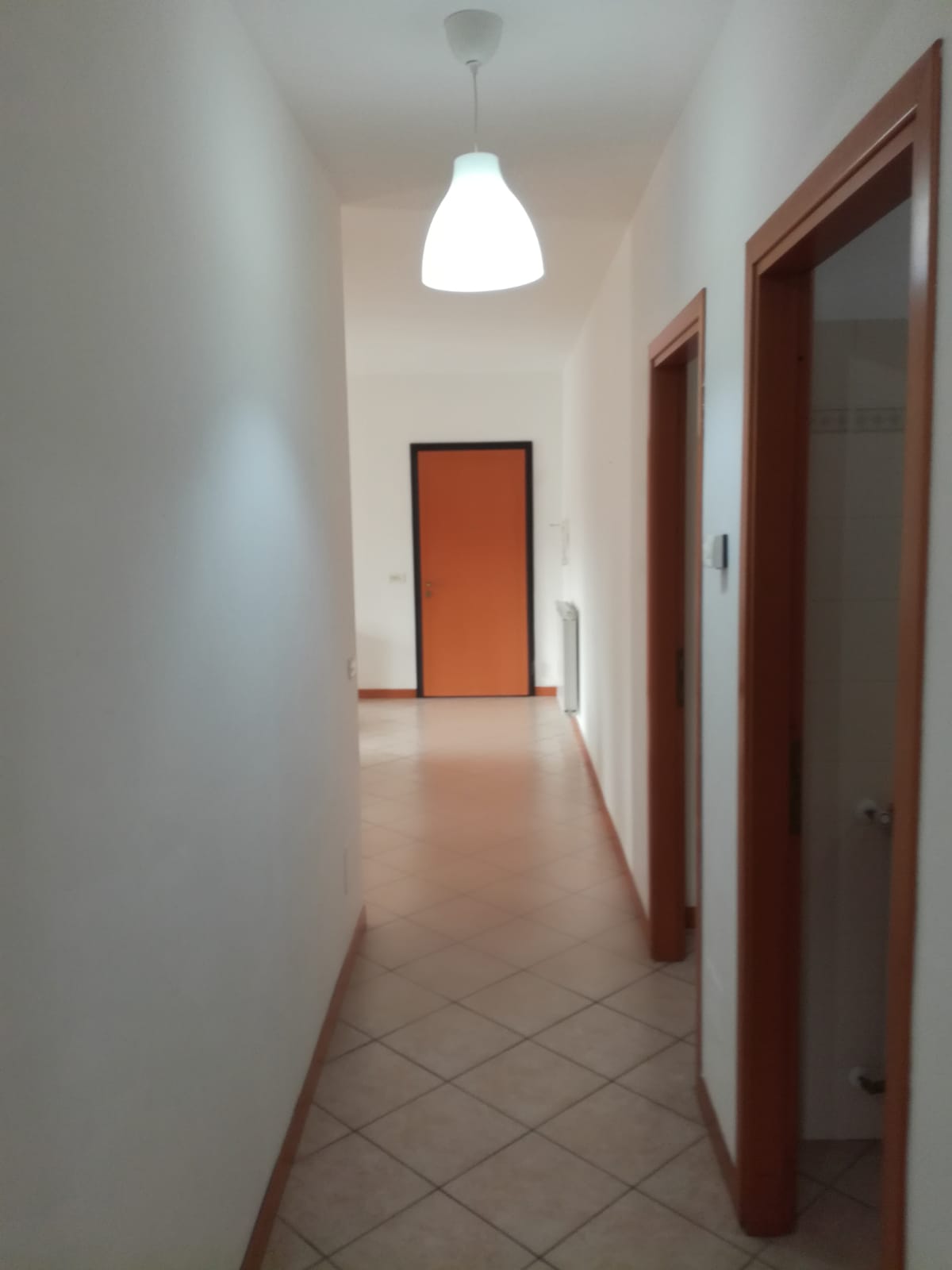 Immagine WhatsApp 2023-12-14 ore 11.56.10_6213fc70